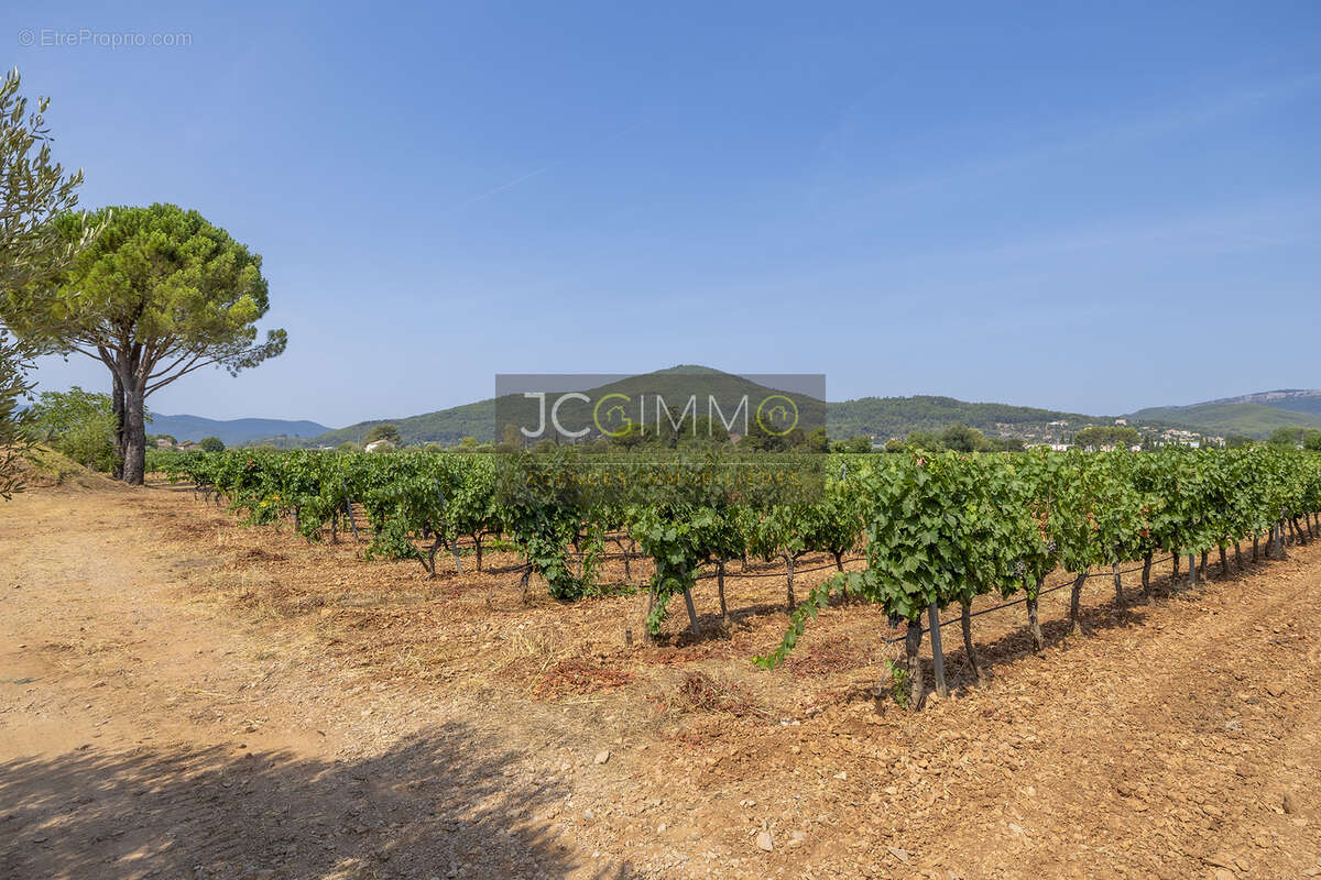 Domaine viticole avec 1 050m2 de bâtis et 300 000m2 (30 hectares) de vignes - photo 5