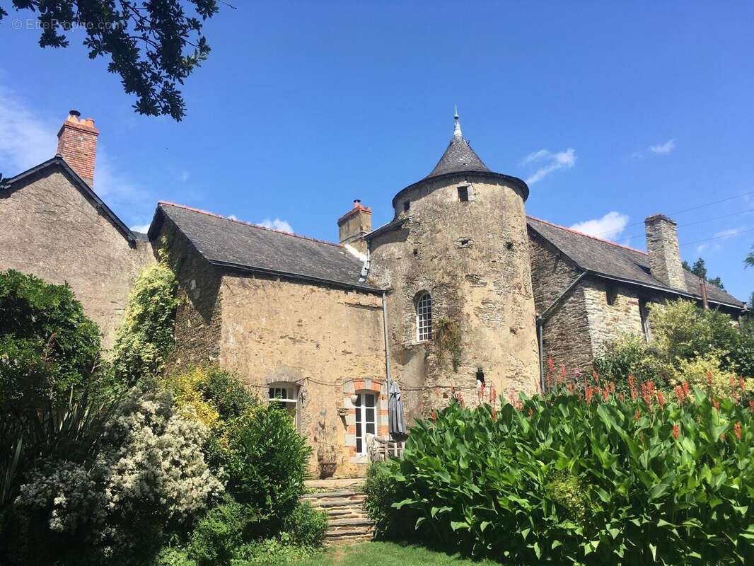 Photo 4 - Maison à LANGON