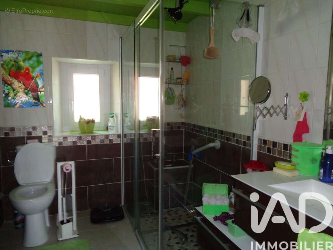 Maison 300 m² à Preguillac  - photo 9