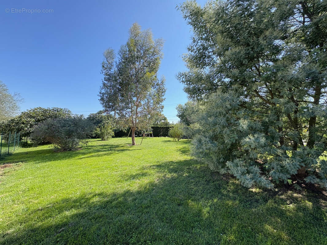 Maison à vendre T5 sur 2700m2 de parcelle proche Saint-Sulpice-sur-Lèze - photo 4