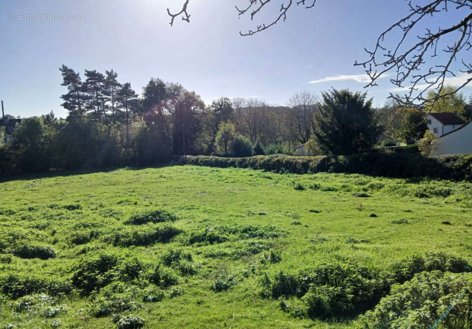 Terrain à SANSAC-DE-MARMIESSE