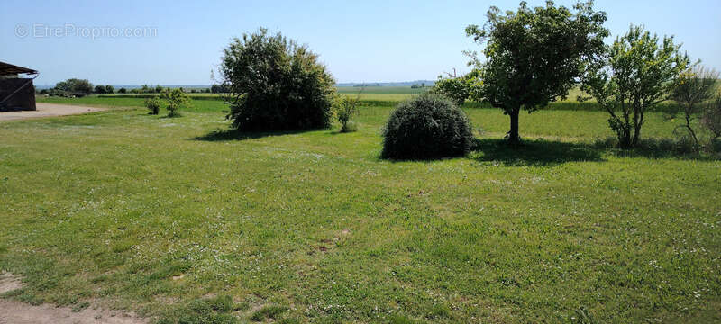 Ferme à vendre 7 pièces  Villeneuve ASSAIS LES JUMEAUX (79) - photo 6