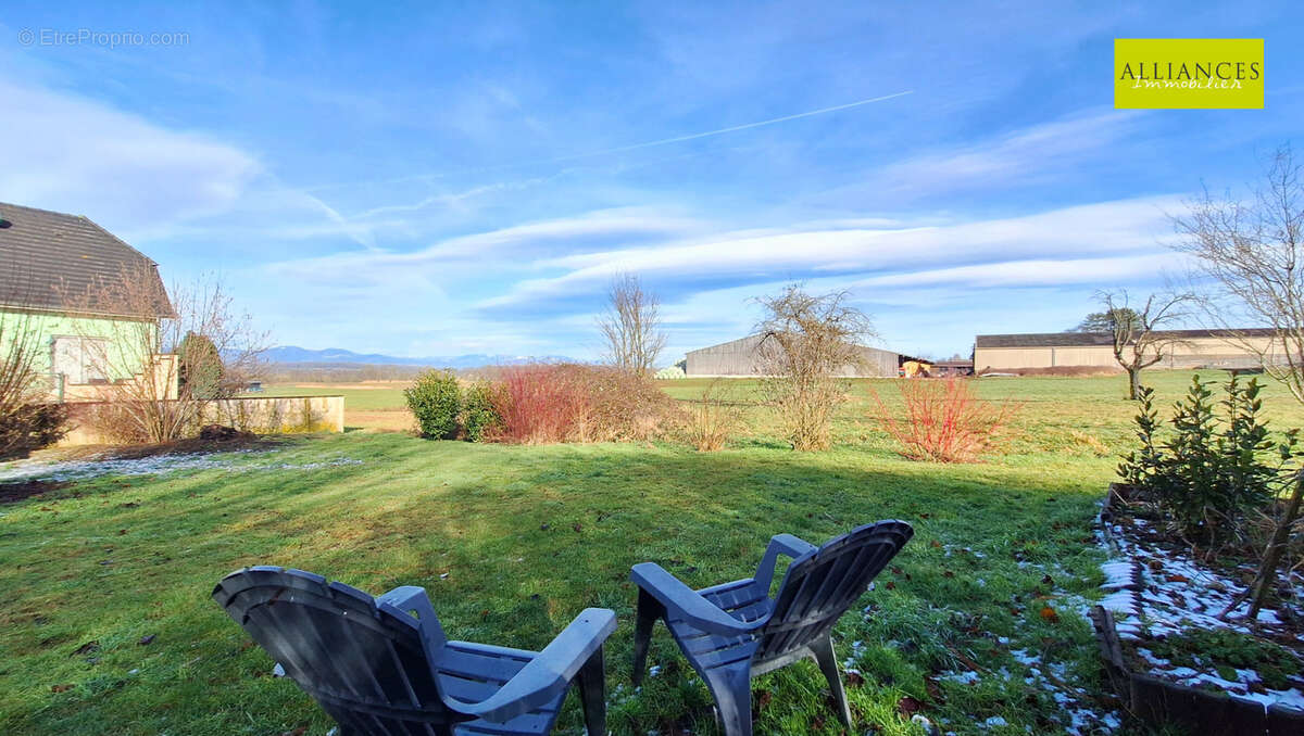 Maison à DANNEMARIE