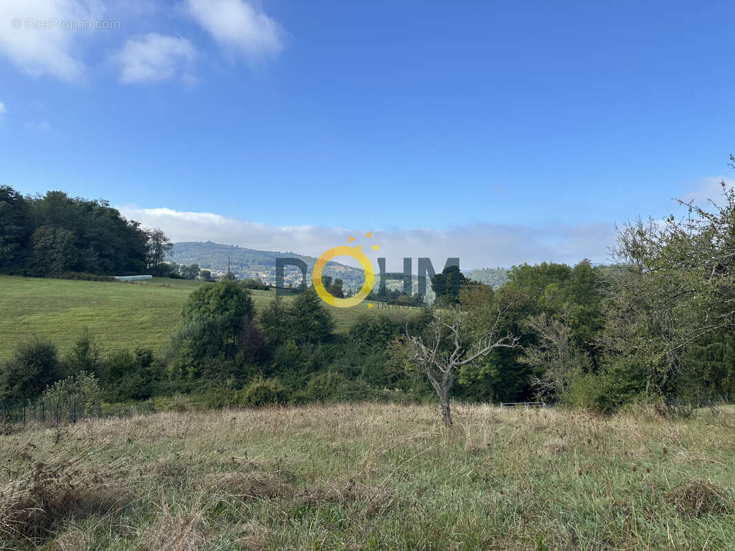 Terrain à UNIEUX
