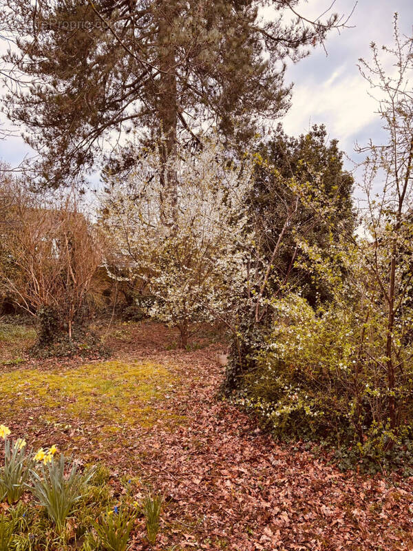 Terrain à JONCHERY-SUR-VESLE