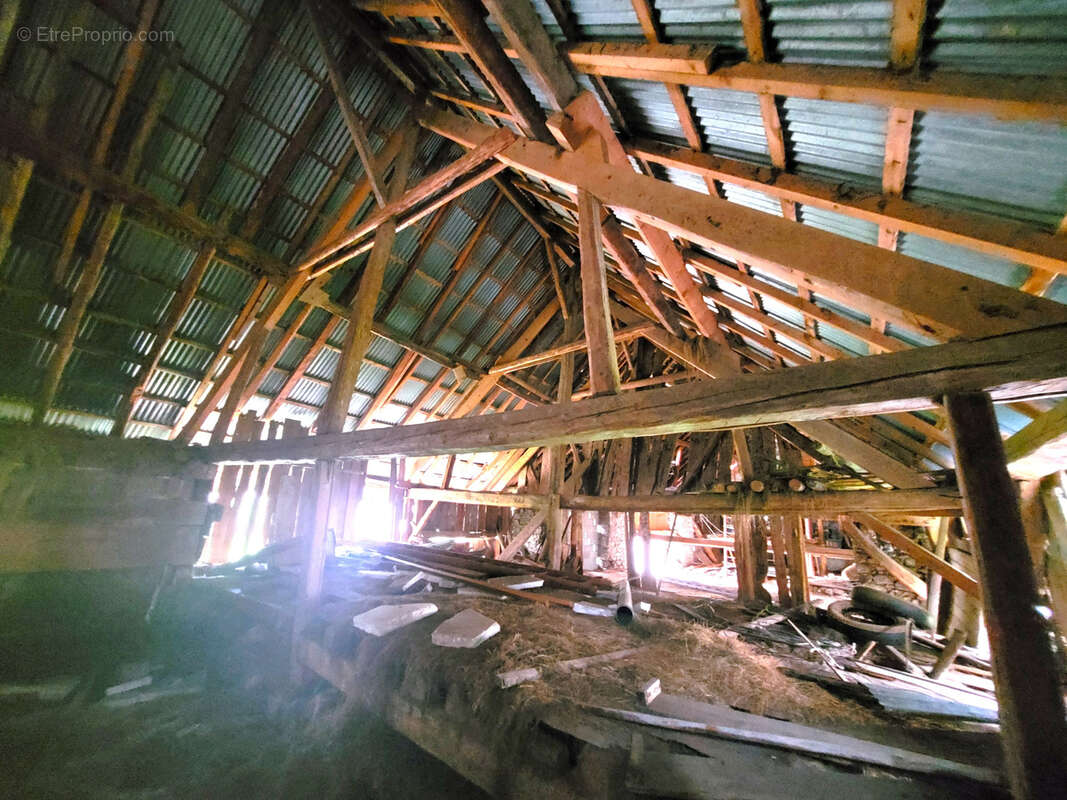 73630 SAINTE-REINE   Un projet rare dans un environnement préservé - photo 3