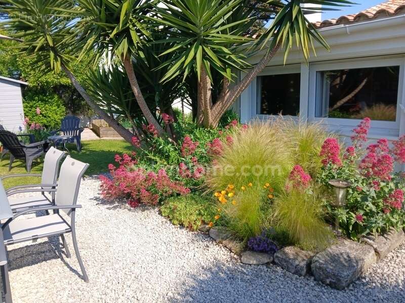 Maison à SAINT-MARTIN-DE-RE