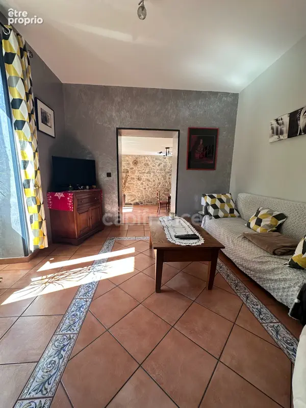 Maison à vendre 9 pièces POMMIERS LA PLACETTE (38) - photo 6