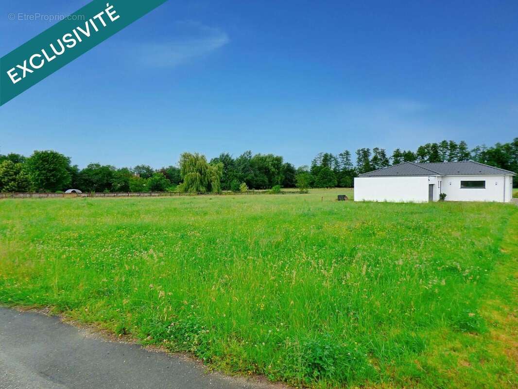 Photo 2 - Terrain à TRAUBACH-LE-BAS