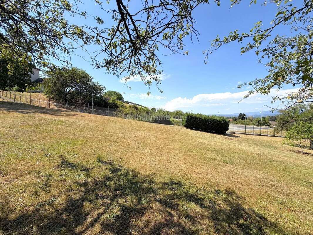 Vente Terrain Dolomieu(38110) 79 800ï¿œ - photo 3