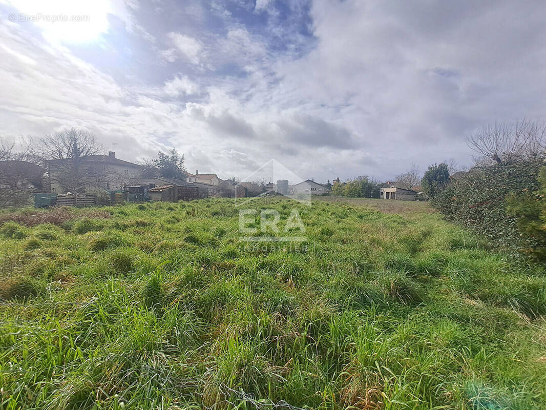 Terrain à LESCURE-D'ALBIGEOIS