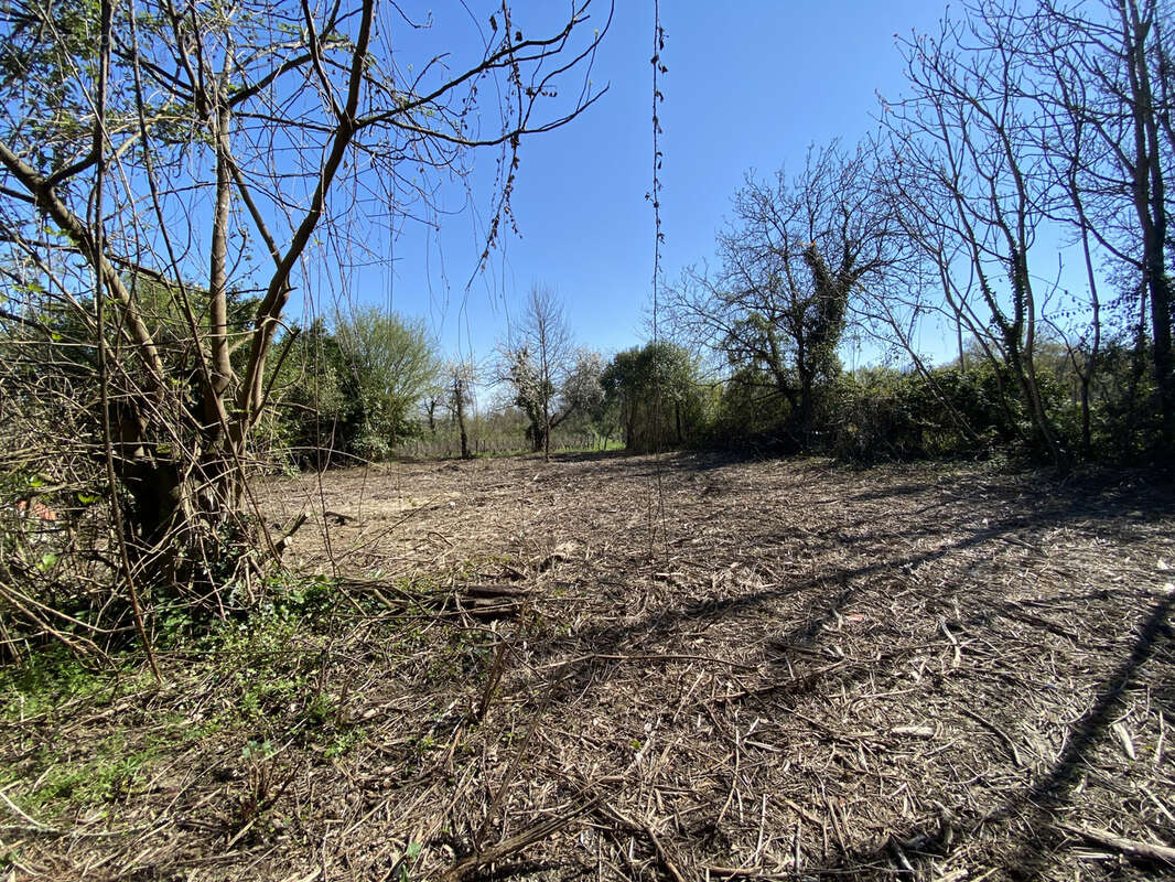 Maison à GIRONDE-SUR-DROPT