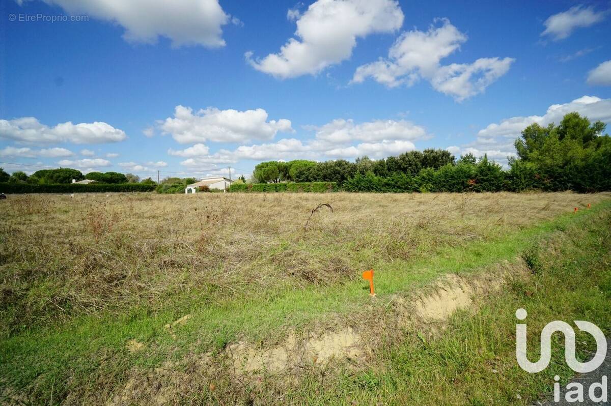 Photo 1 - Terrain à LARRA