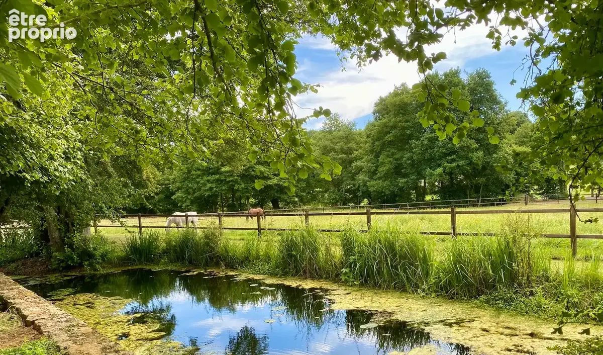 Magnifique logis du 17ème siècle sur 3,8ha, au coeur de la campagne préservée du sud pays d’auge. - photo 4