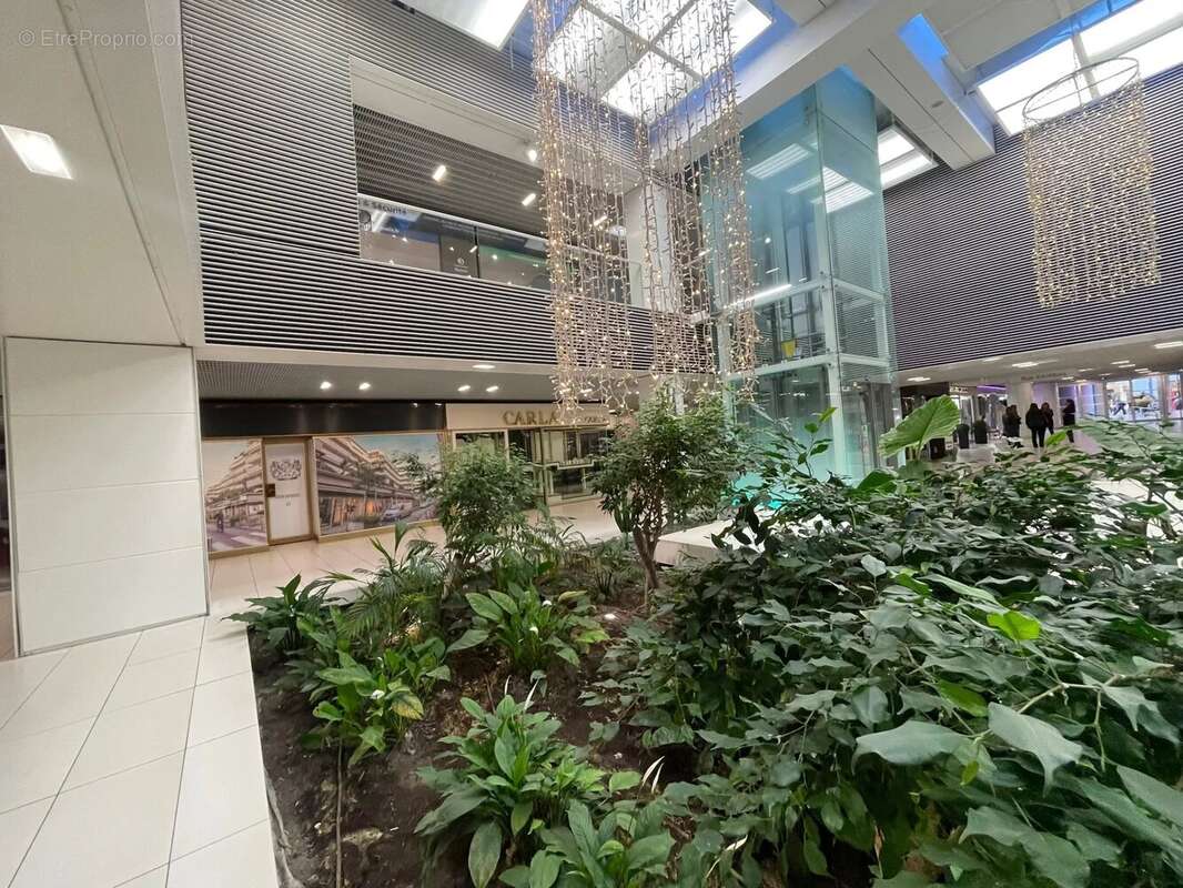 Cannes centre  gray murs et commerce - photo 5