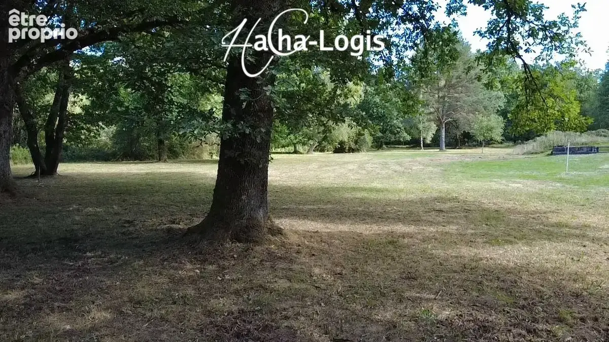 Exclusivité : Grande maison de 500 m2 sur 3 hectares de terrain, DPE en C ! - photo 5
