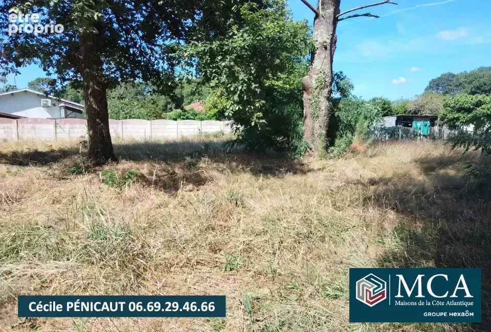 Terrain à SAUGNAC-ET-CAMBRAN