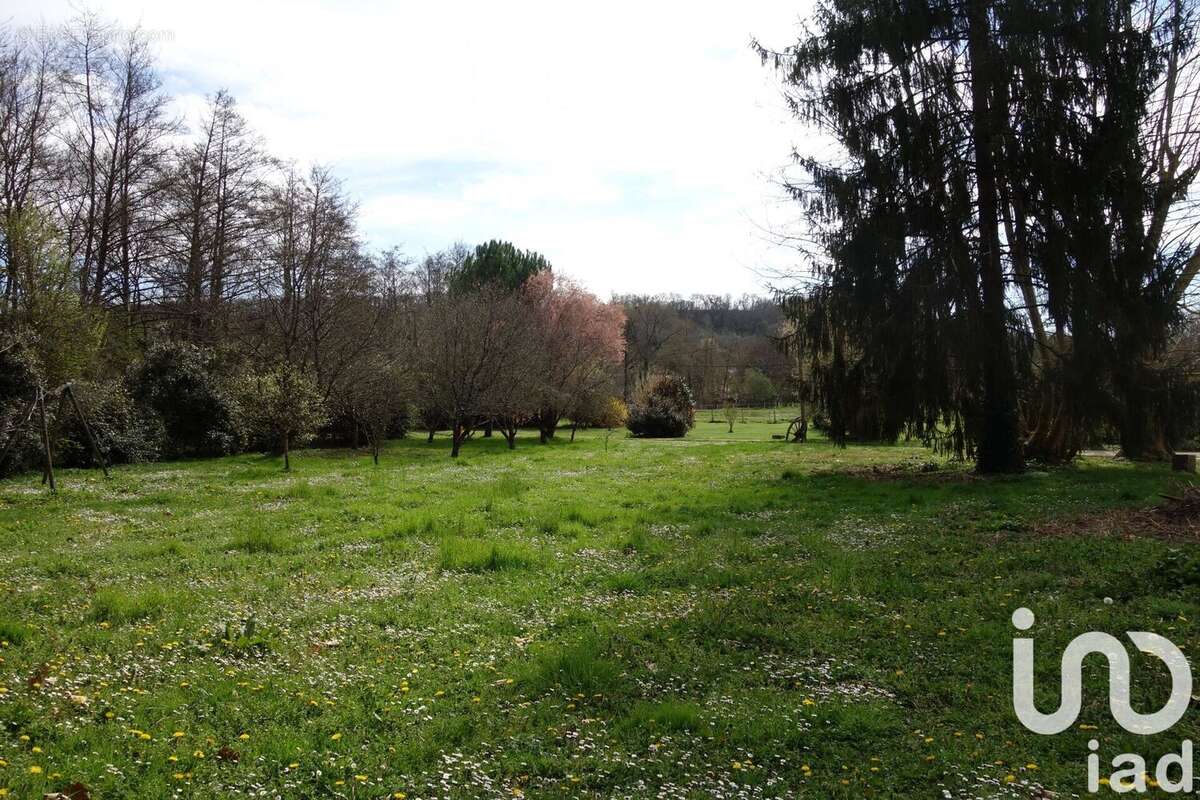Photo 6 - Maison à PONT-DU-CASSE