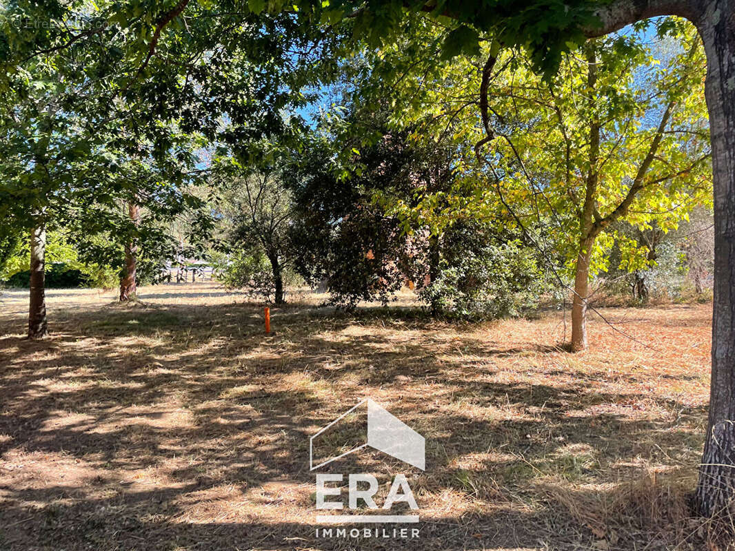 Terrain à LESCURE-D&#039;ALBIGEOIS