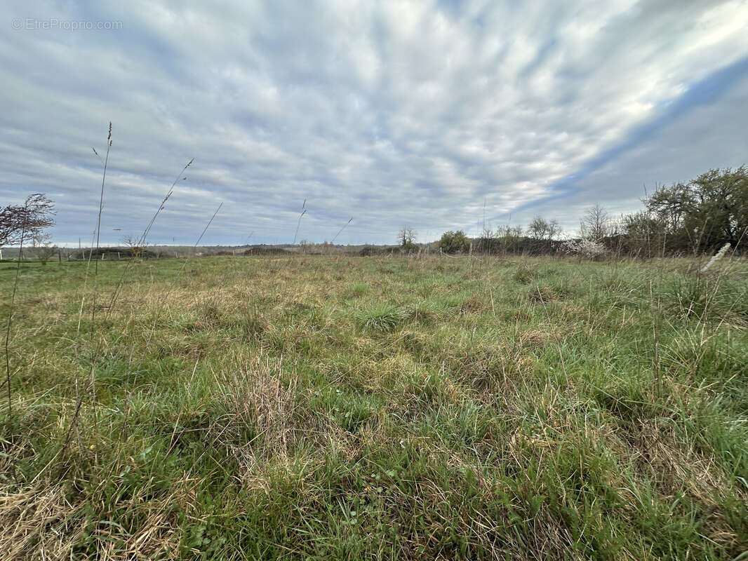 Terrain à CHENAUD