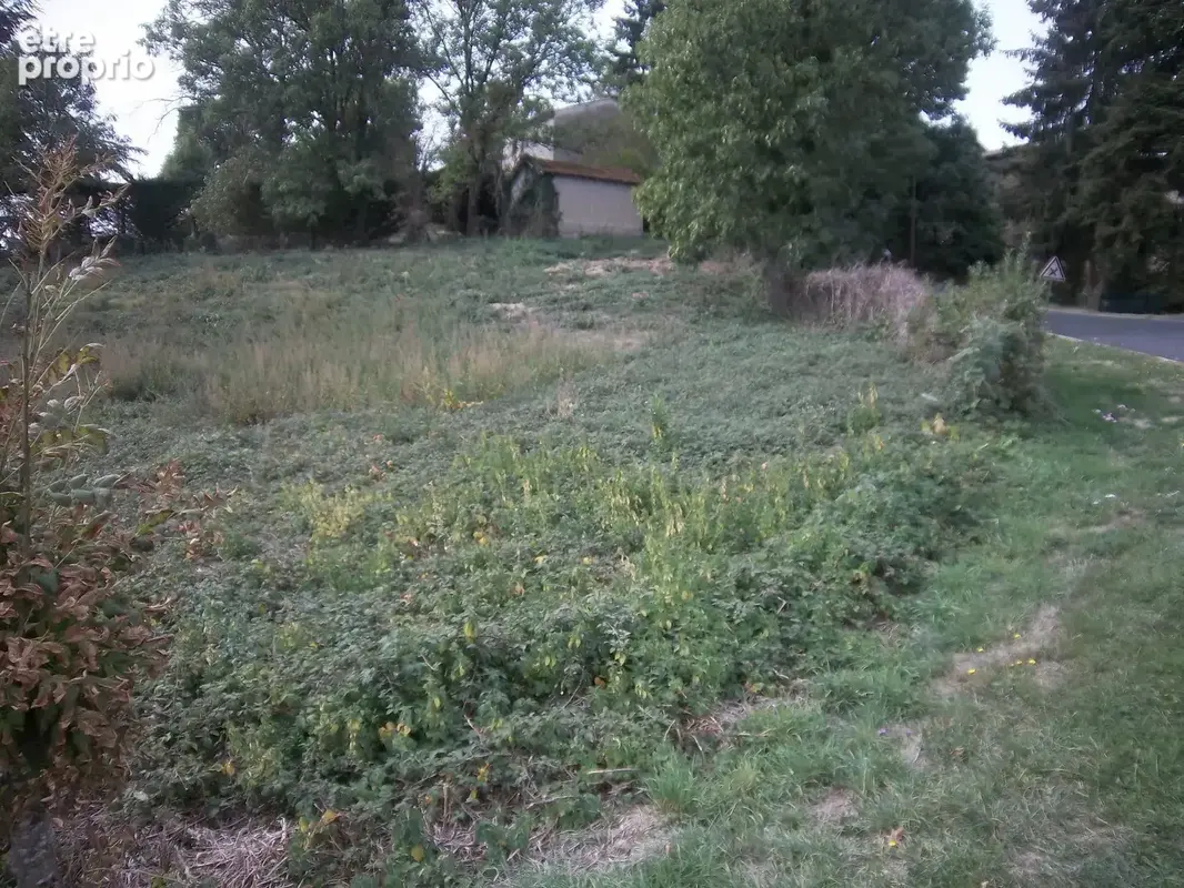 Terrain 1 514 m² à vendre à Fayet-Le-Chateau (63160) - photo 2