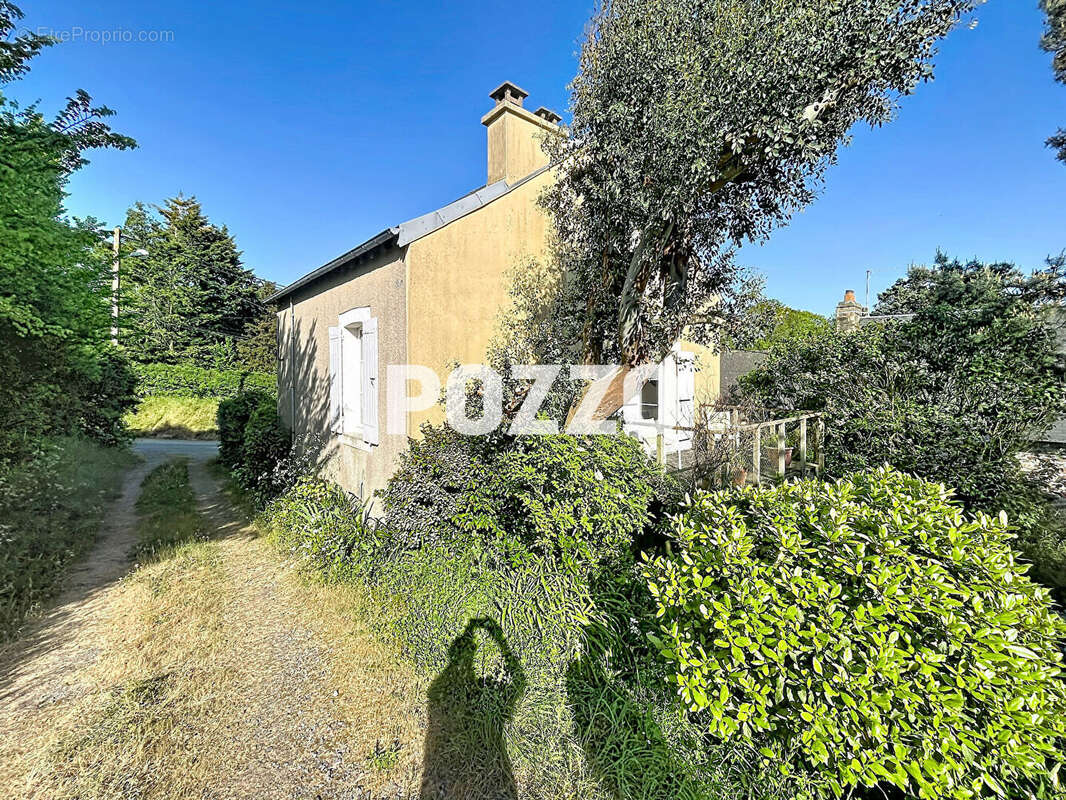 MAISON  86 m2 SAINT-PAIR-SUR-MER - 5 pièces-  Jardin 255m² - photo 16
