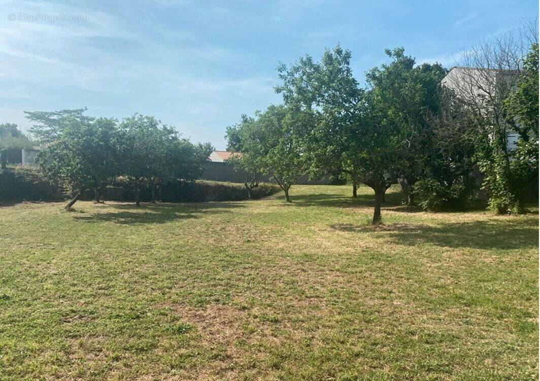 Terrain à SAINT-AGNANT