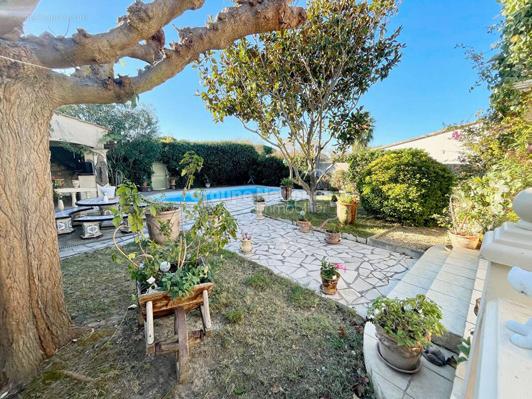 Maison à LE GRAU-DU-ROI