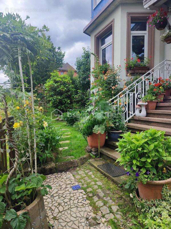 Appartement à SAINT-BLAISE-LA-ROCHE