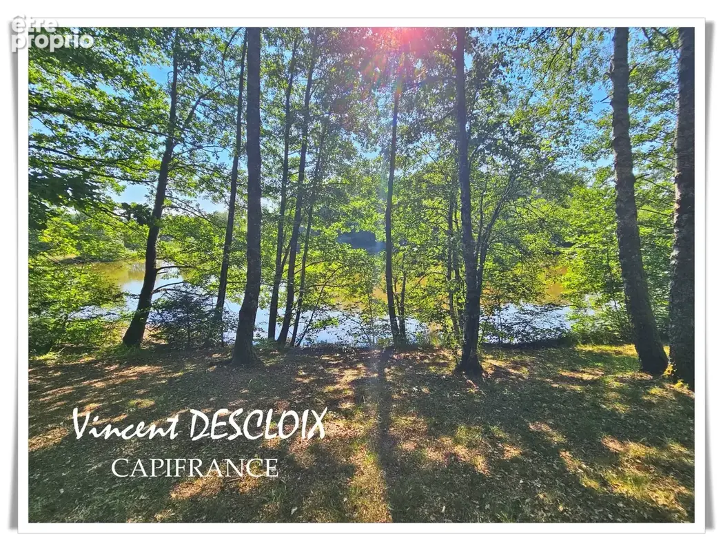Terrain 19 965m² avec étang à vendre  GIEN SUR CURE (58230) - photo 14