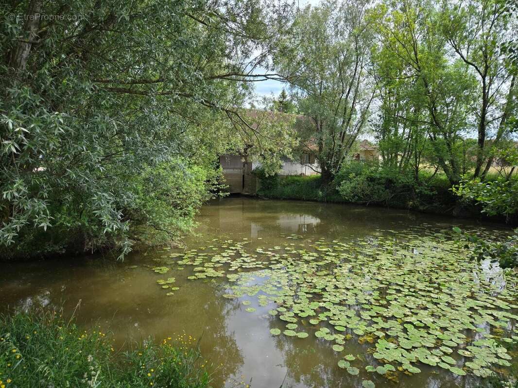 Photo 4 - Maison à LOUHANS