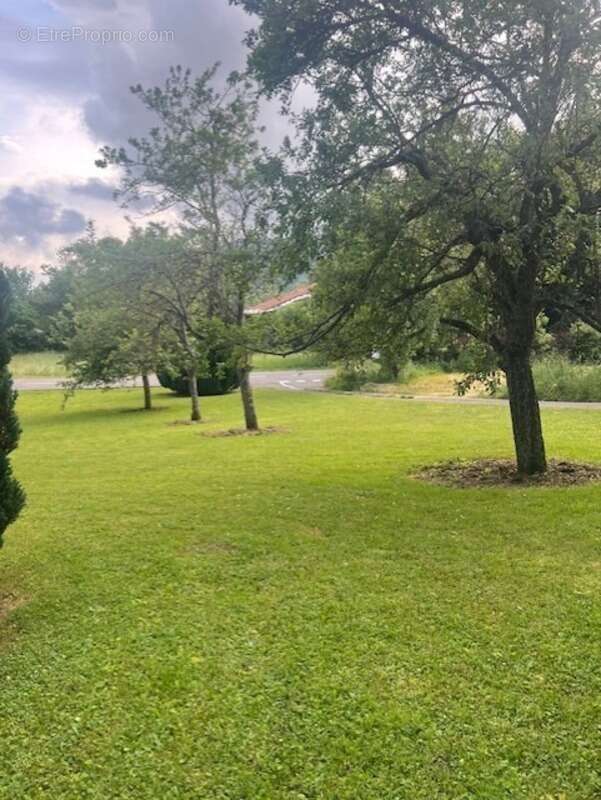 Terrain à HABERE-POCHE