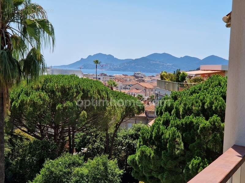 Appartement 2 pièces de 57 m² traversant avec terrasses dans résidence avec piscine - photo 4