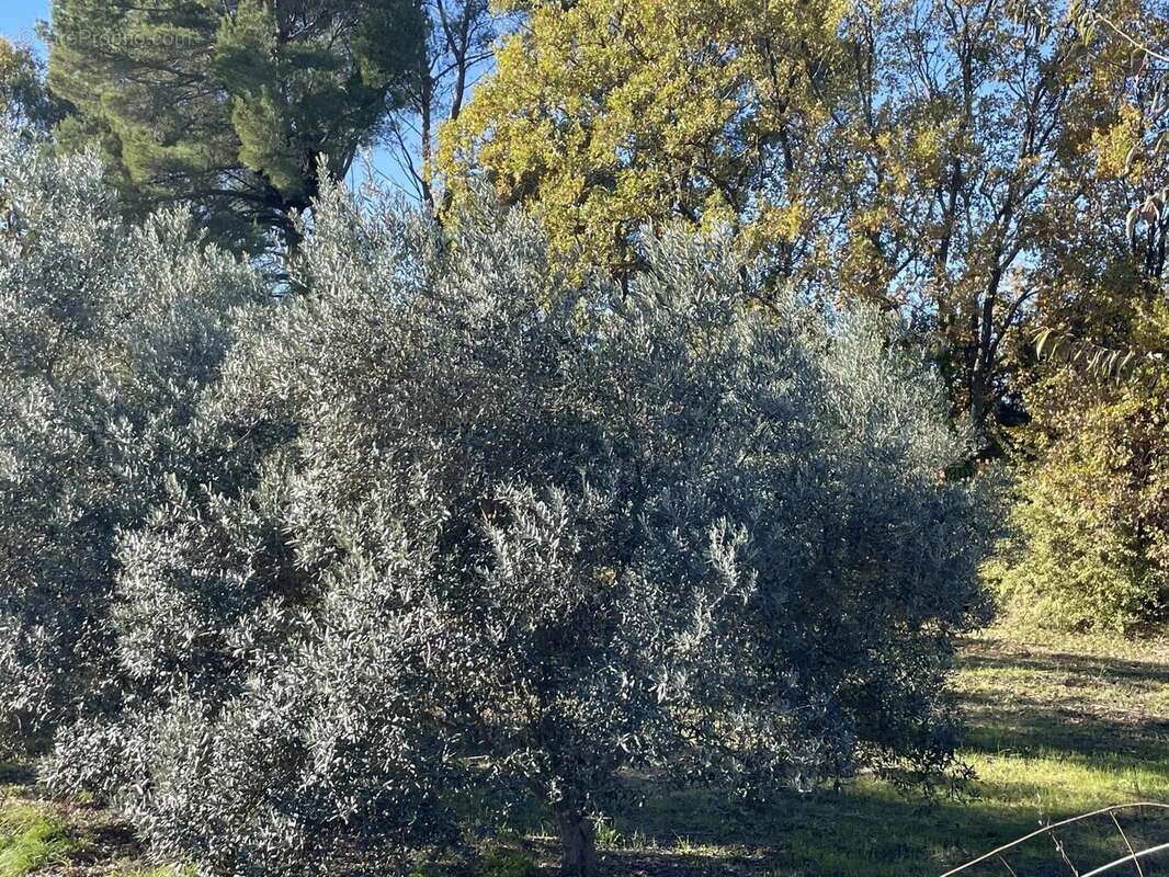 Terrain à LORGUES
