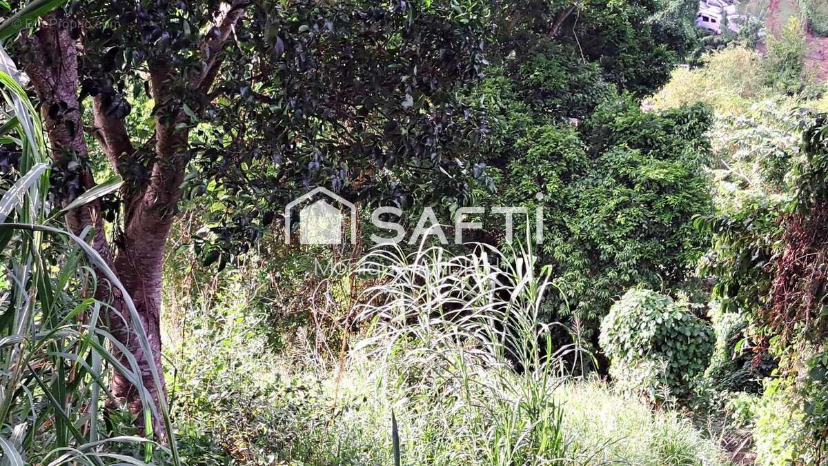 Photo 3 - Terrain à LE FRANCOIS