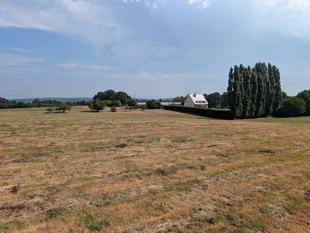 Propriété sur 27 hectares, maison 179 m2, bâtiments de 700 m2 salle de réception et 600 m2 garage - photo 28