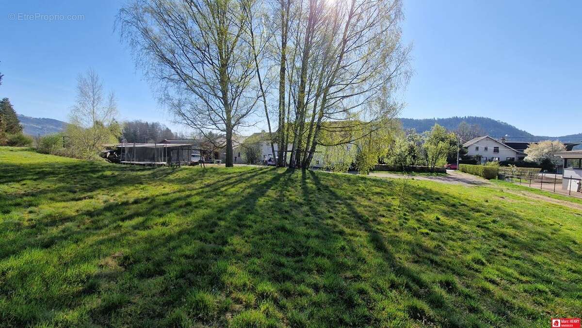 Terrain à SAINT-AME