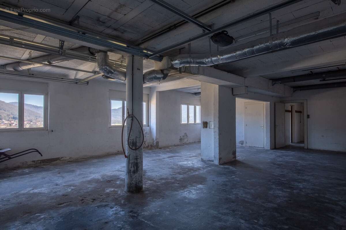 RUPT SUR MOSELLE (88)A vendre propriété T 10 pièces de 195m² sur sous sol + 4 box à chevaux +rucher, terrain 3.6 hectares - photo 25