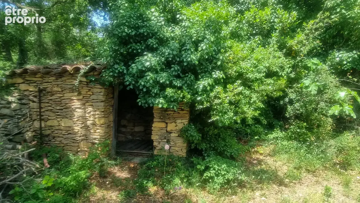 cabane