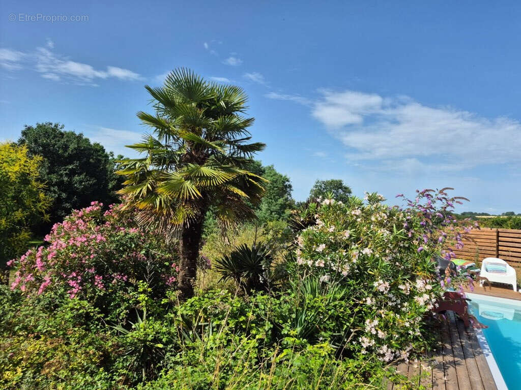 Maison à CHANTONNAY