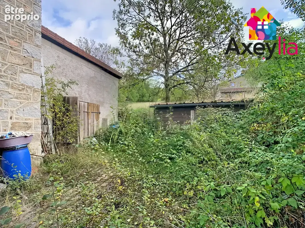 A vendre- saint-nicolas-des-biefs- maison avec studio attenant et garage - photo 5