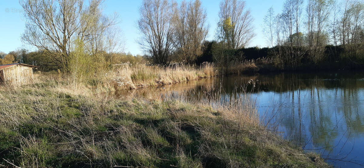 Terrain à CHATEAU-SALINS