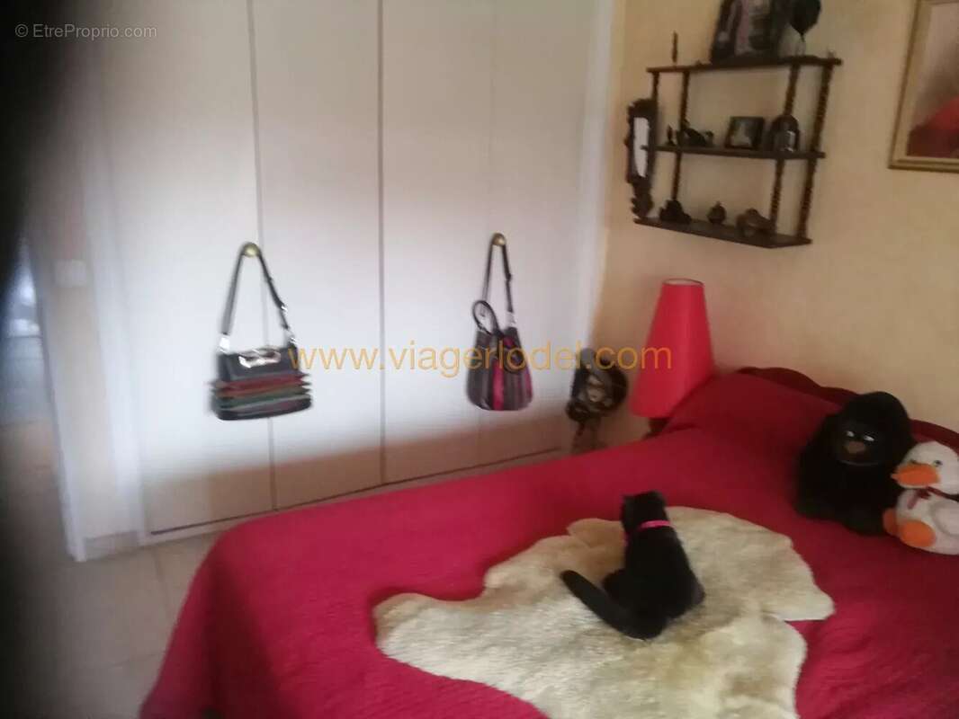 Appartement à VILLENEUVE-LOUBET
