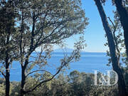 Terrain à SAN-MARTINO-DI-LOTA