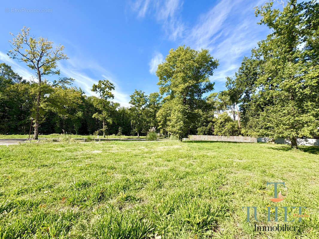 Terrain à LA TREMBLADE