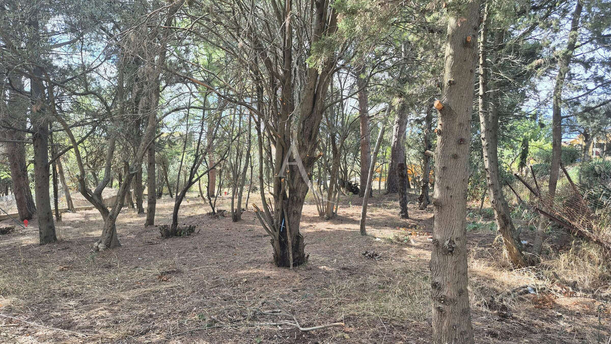 Terrain à OUVEILLAN