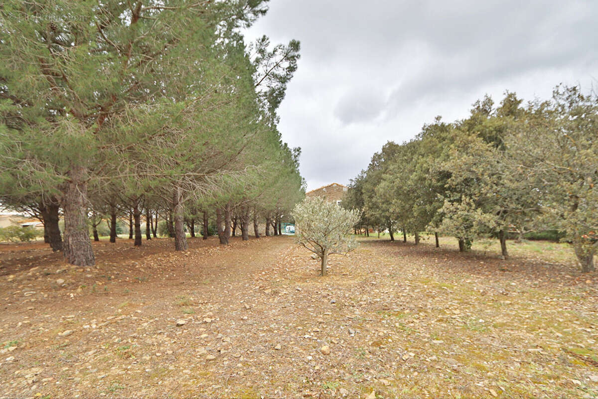 Maison à LAURE-MINERVOIS