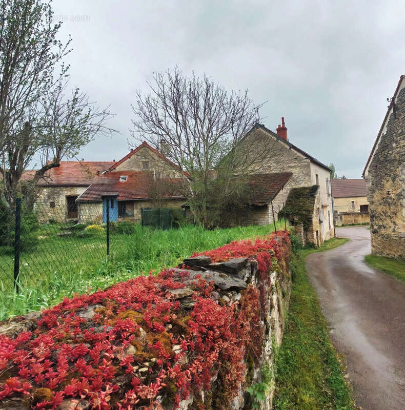 Maison à THENISSEY