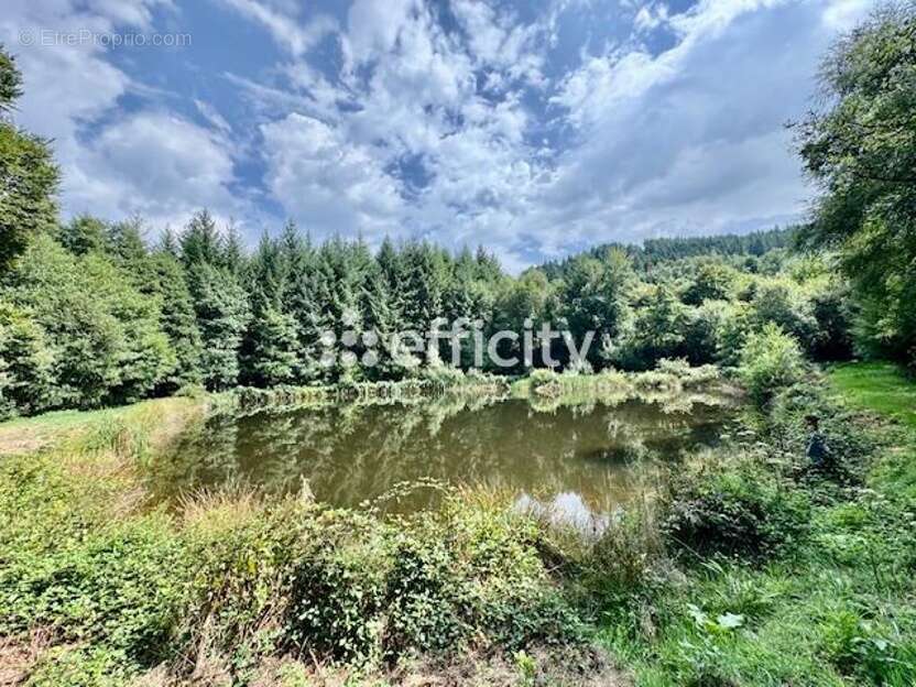 Maison à SAINT-REMY-SUR-DUROLLE