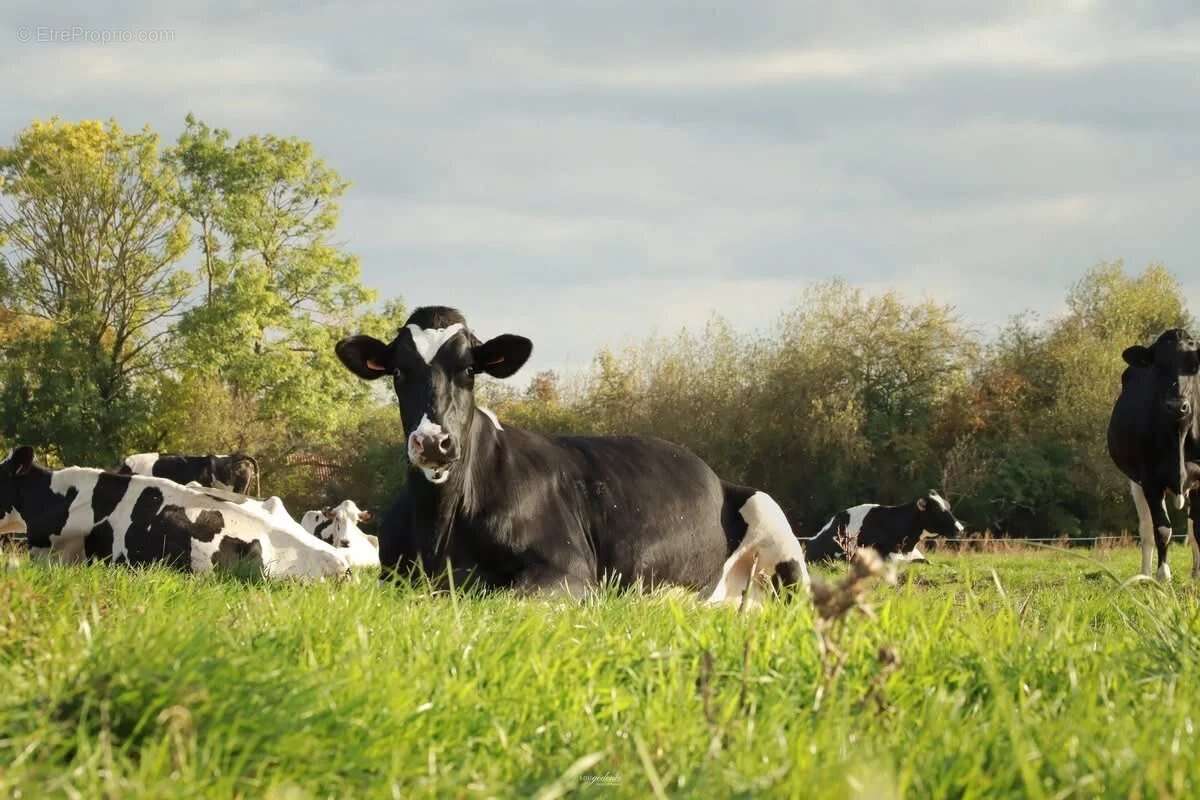 Maison à FRESNES-EN-WOEVRE